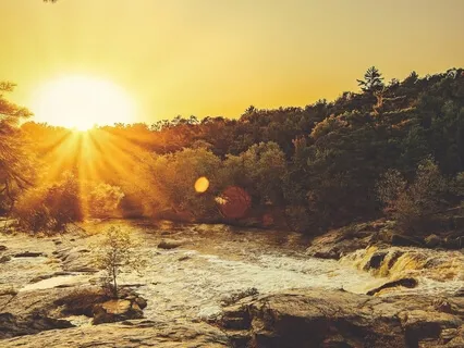 Duerma en Minutos con los Sonidos de una Fuente de Agua Zen