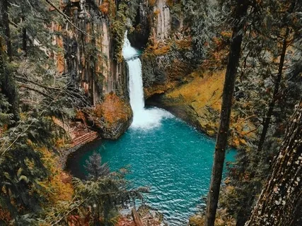 Духовное Изобилие. Свобода и Счастье