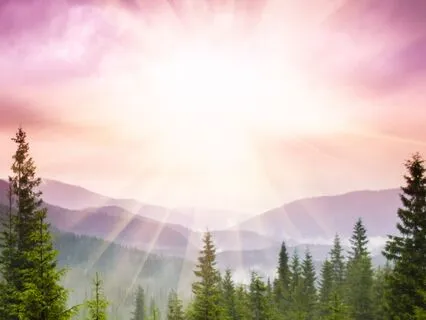 During A Difficult Meal