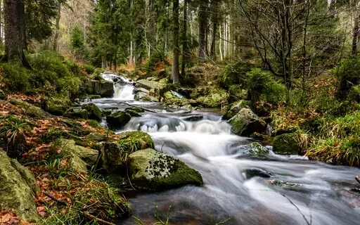 Durma em Minutos com Sons Relaxantes de um Riacho