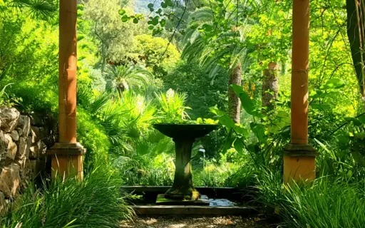 Durma em Minutos com Sons Relaxantes - Suave Fonte Zen