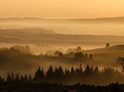 Dusk in the Wild - Relaxation & Sleep