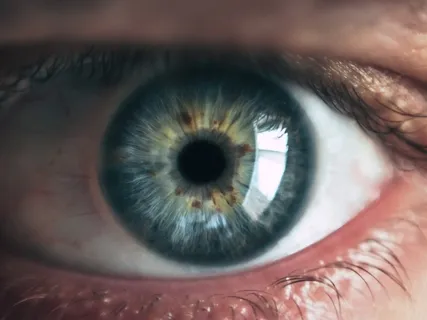 Dying To Lead - Lesson 1 - The Path Of Purpose