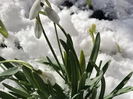 Дыхательная Практика: 5 Минут В Начале Дня