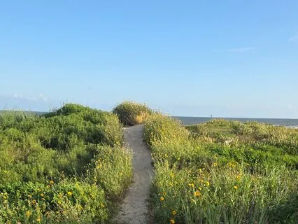 Dynamic Breathwork (2 Rounds)