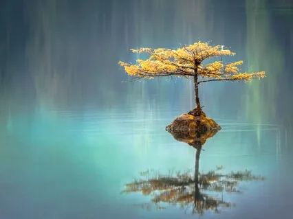 Дзен-Медитация "Счет Дыхания" на Русском Языке