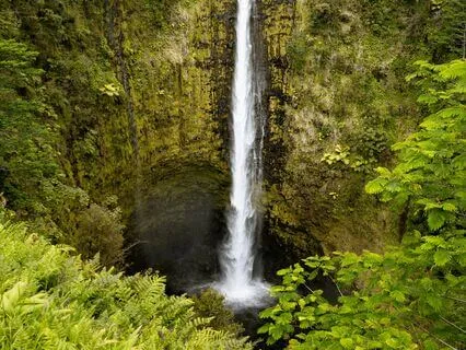 E Malama - Hawaiian Blessing For The Earth