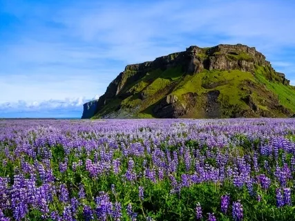 Each And Every Moment Of Each And Every Day