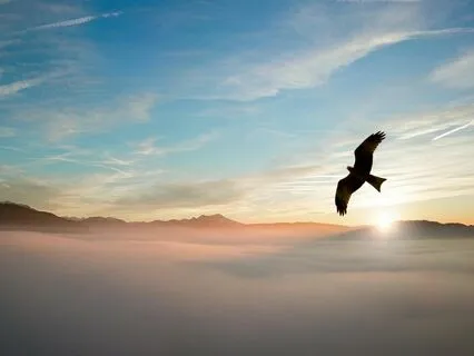 Eagle's Breath: Shamanic Journey For Anxiety Release