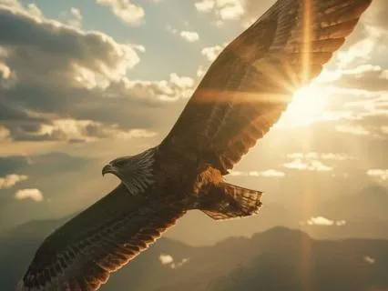 Eagle Spirit for Sleep – Night Sky & Inner Peace