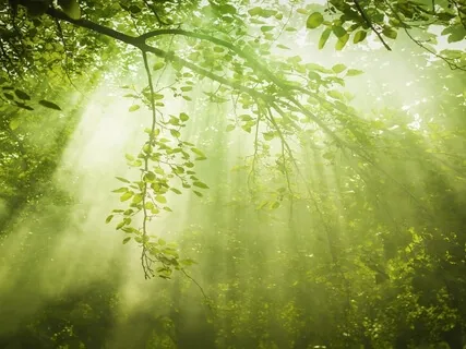 Early In The Morning