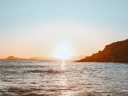 Early Morning Basking In The Sun