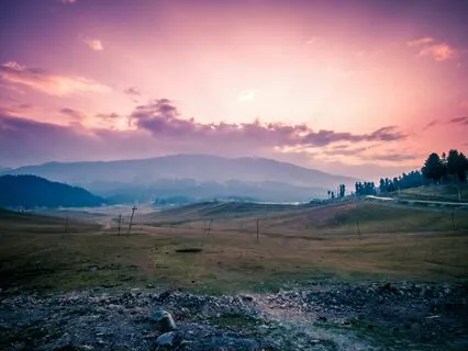 Early Morning Magic: In Nature