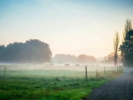 Early Morning Spirit