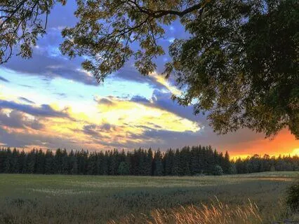 Early Morning Sunrise