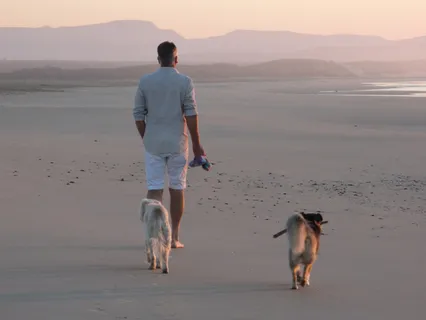 Early Morning Walking