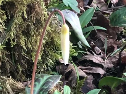 Early Spring By The Water