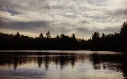 Early Spring Evening - Night Peepers