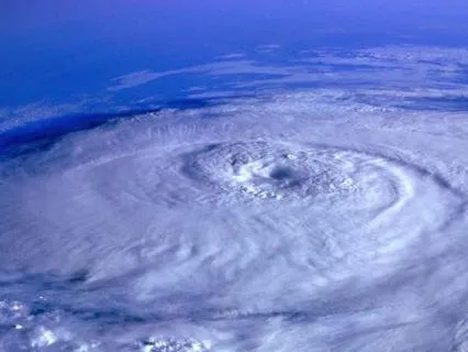 Expansive Heart Awareness: Early Summer Meditation