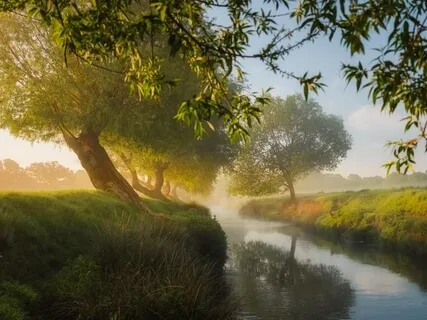 Early Summer's Hidden River