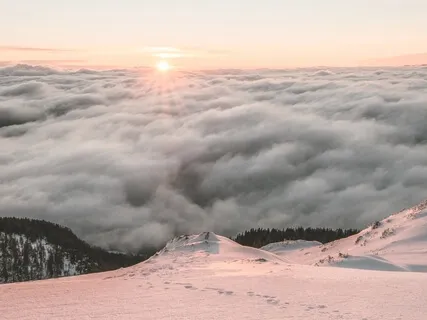 Early Winter Morning