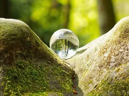 Earth Anchor Somatic Grounding