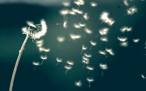 Earth And Wind Rav Melody