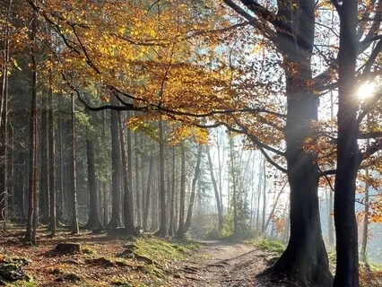 Earth Attunement Guided Meditation