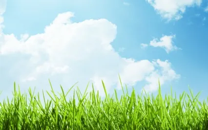 Earth Blanket Meditation To Calm And Soothe You