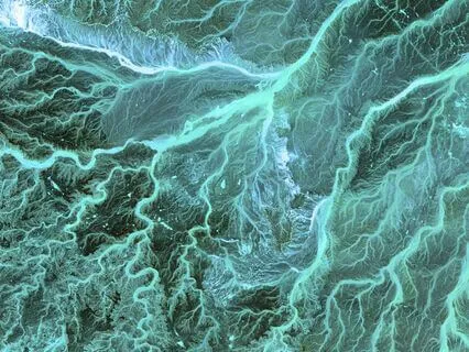 Earth Breath Meditation For Interconnection And Grounding