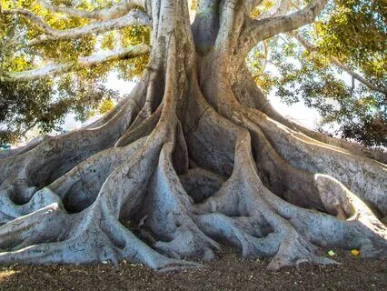 Earth Breathing To Be Held By