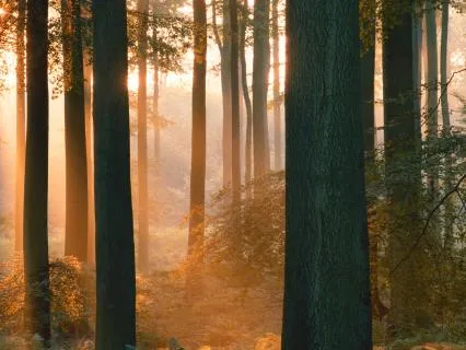 Earth Connection: A Guided Journey With The Land