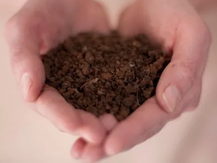 Earth Connection - Daily Mantra