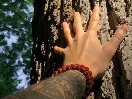 Earth Connection Meditation