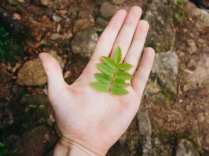 Earth & World Healing