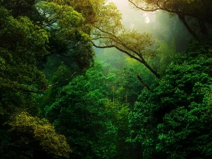 Earth Day Meditation