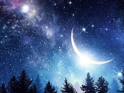 Earth Dragon Of The Old Forest: Healing Sleep Story