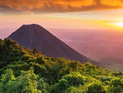 Earth Dragons: Guardians Of Resilience And Sacred Power