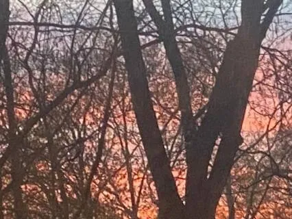 Earth Drum & Rain For Deep Calm