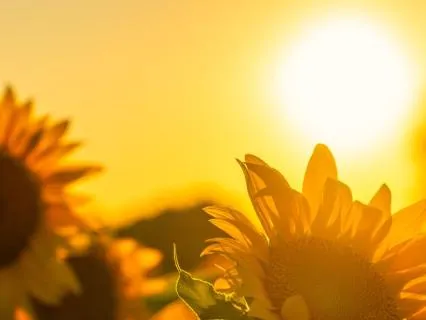 Earth Element: A Short Grounding Practice