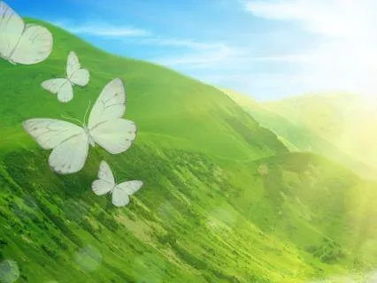 Earth Element & Crown Chakra: Abundance & Manifestation