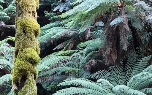 Earth Element - Grounding In Stillness