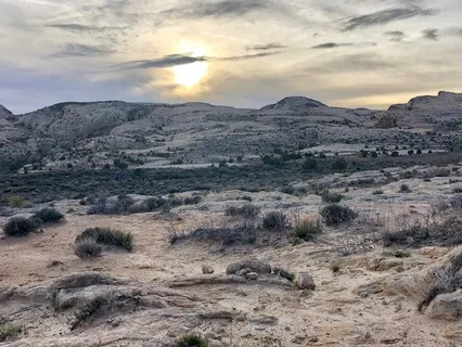 Earth Element | Grounding Yoga Nidra