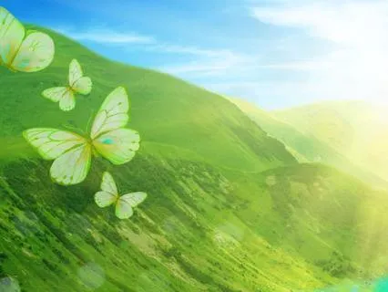 Earth Element & Heart Chakra: Inner Stability & Deep Peace
