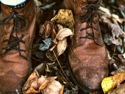 Earth Element Meditation For Deep Sleep And Anxiety Relief