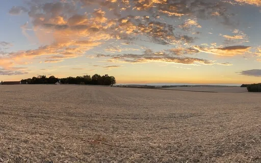 Earth Element: Meditation On Stomach Energy For Late Summer