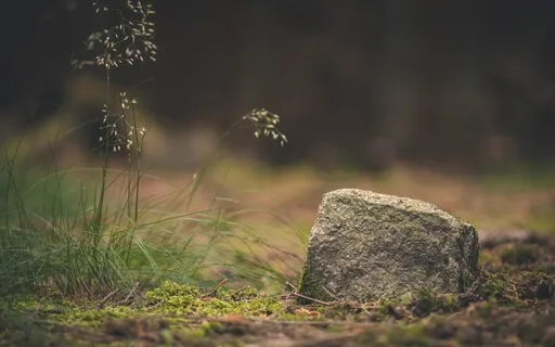 Earth Element: Prithvī