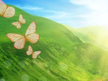 Earth Element & Sacral Chakra: Body Healing & Vitality