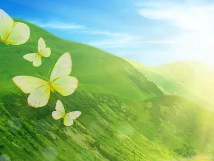 Earth Element & Solar Plexus Chakra: Wealth & Power