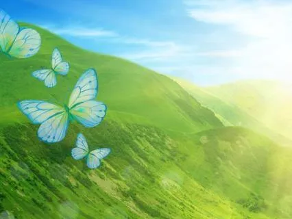 Earth Element & Throat Chakra: Boundaries & Protection